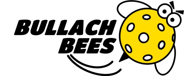 Bullach Bees, Floorball beim TSV Geiselbullach